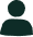 trust icon
